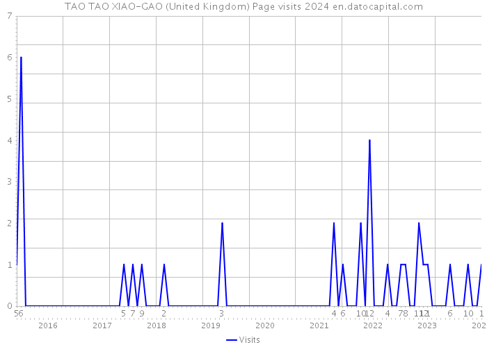 TAO TAO XIAO-GAO (United Kingdom) Page visits 2024 