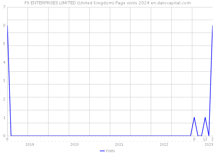 FII ENTERPRISES LIMITED (United Kingdom) Page visits 2024 