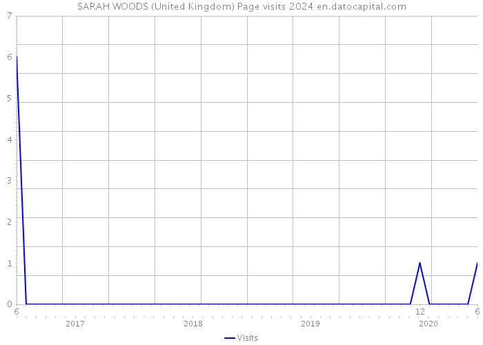SARAH WOODS (United Kingdom) Page visits 2024 