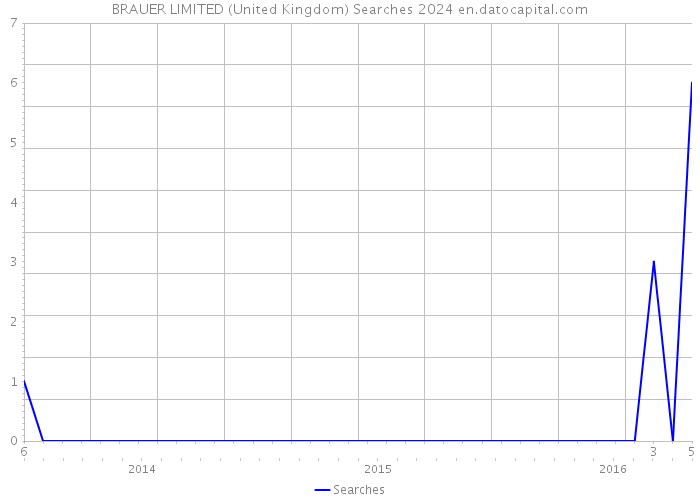 BRAUER LIMITED (United Kingdom) Searches 2024 