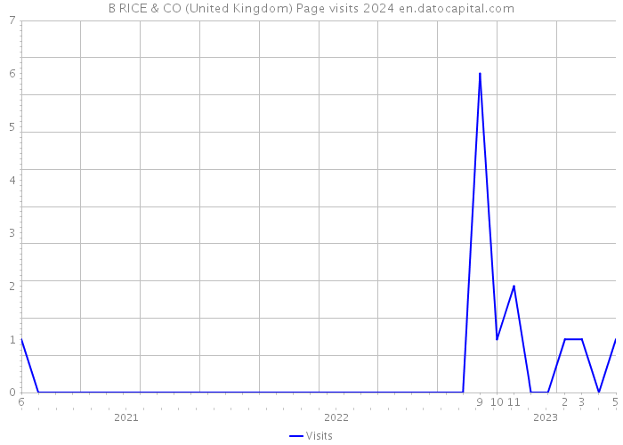 B RICE & CO (United Kingdom) Page visits 2024 
