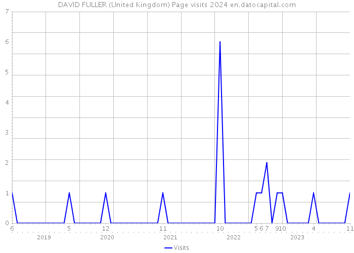 DAVID FULLER (United Kingdom) Page visits 2024 