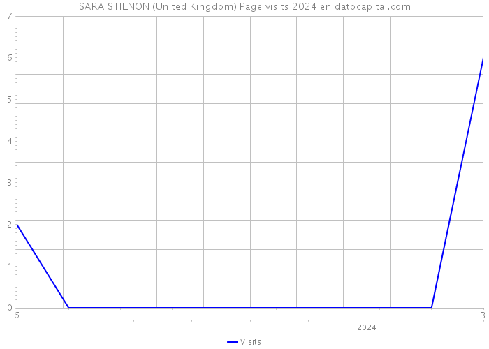 SARA STIENON (United Kingdom) Page visits 2024 