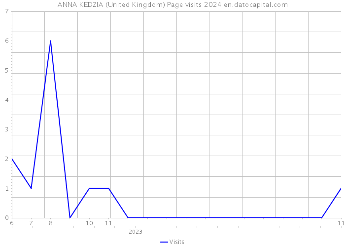 ANNA KEDZIA (United Kingdom) Page visits 2024 