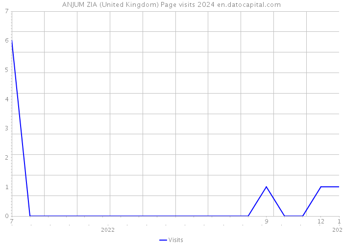 ANJUM ZIA (United Kingdom) Page visits 2024 