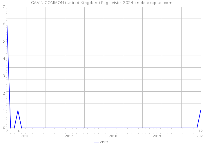 GAVIN COMMON (United Kingdom) Page visits 2024 