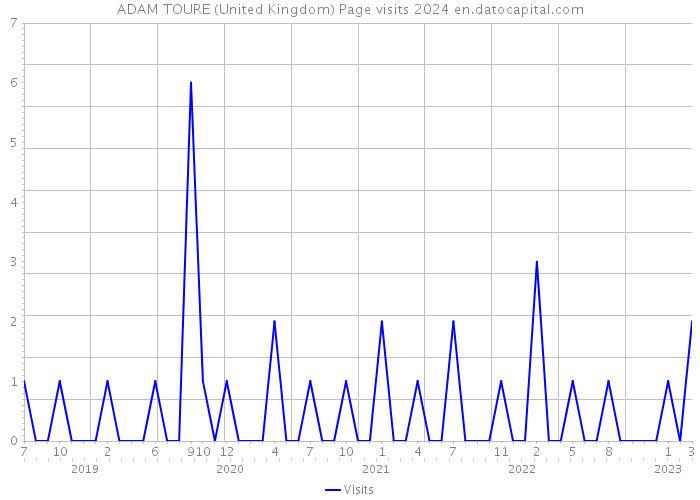 ADAM TOURE (United Kingdom) Page visits 2024 