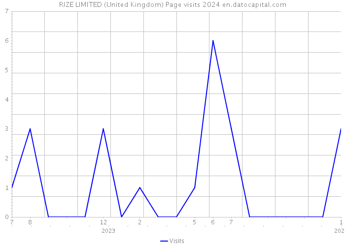 RIZE LIMITED (United Kingdom) Page visits 2024 