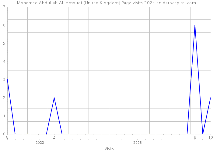 Mohamed Abdullah Al-Amoudi (United Kingdom) Page visits 2024 