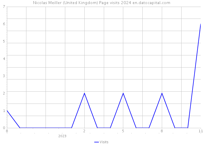 Nicolas Meiller (United Kingdom) Page visits 2024 