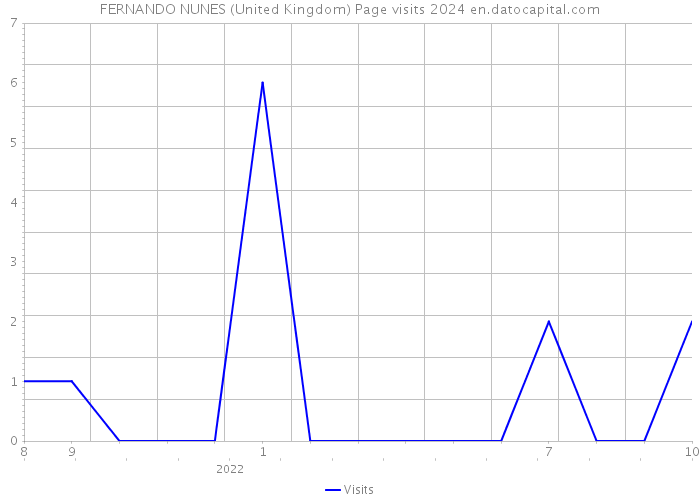FERNANDO NUNES (United Kingdom) Page visits 2024 