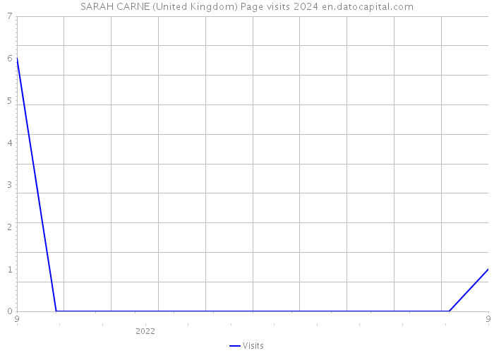 SARAH CARNE (United Kingdom) Page visits 2024 