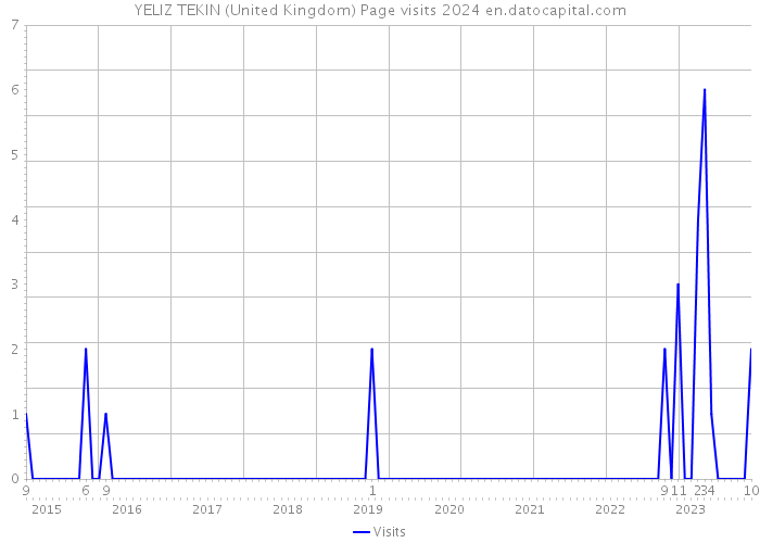 YELIZ TEKIN (United Kingdom) Page visits 2024 