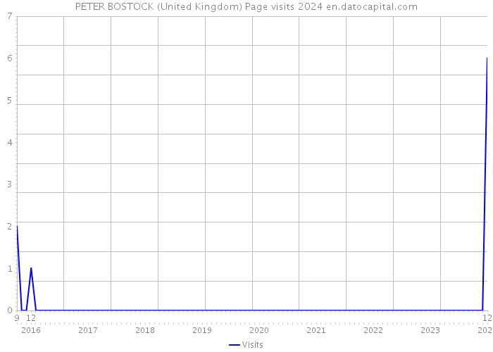 PETER BOSTOCK (United Kingdom) Page visits 2024 