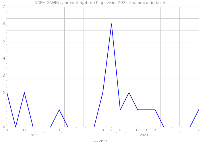 ADEM SAHIN (United Kingdom) Page visits 2024 