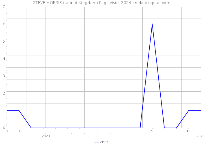 STEVE MORRIS (United Kingdom) Page visits 2024 