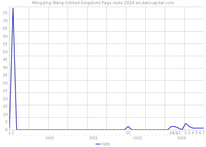 Mingqing Wang (United Kingdom) Page visits 2024 