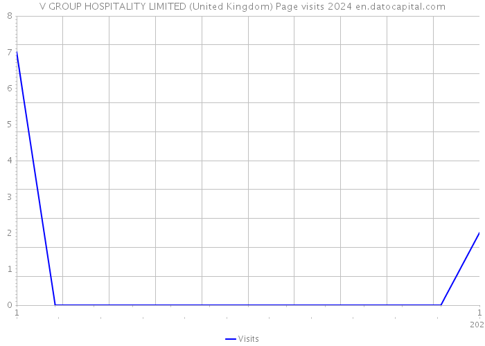 V GROUP HOSPITALITY LIMITED (United Kingdom) Page visits 2024 