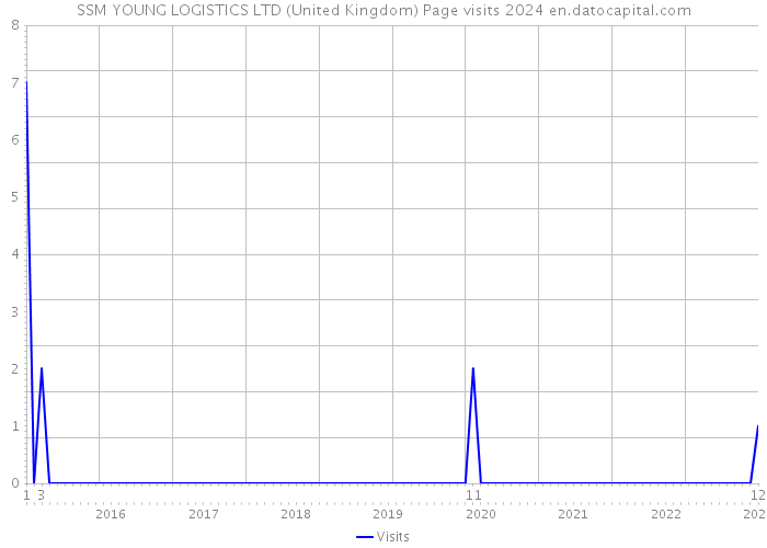 SSM YOUNG LOGISTICS LTD (United Kingdom) Page visits 2024 