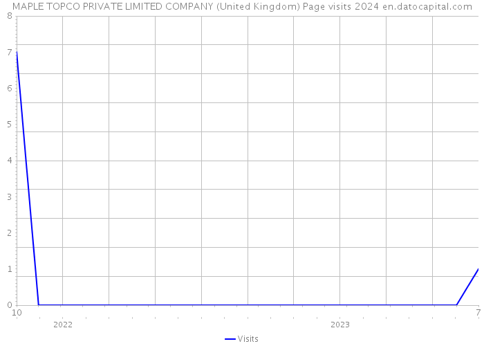MAPLE TOPCO PRIVATE LIMITED COMPANY (United Kingdom) Page visits 2024 