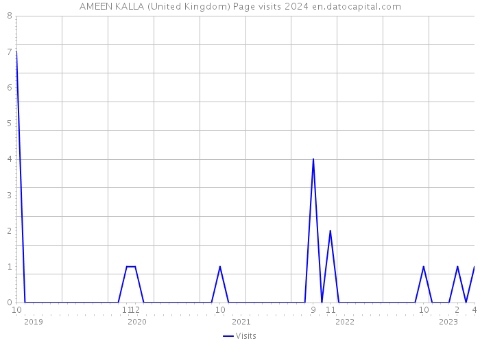 AMEEN KALLA (United Kingdom) Page visits 2024 