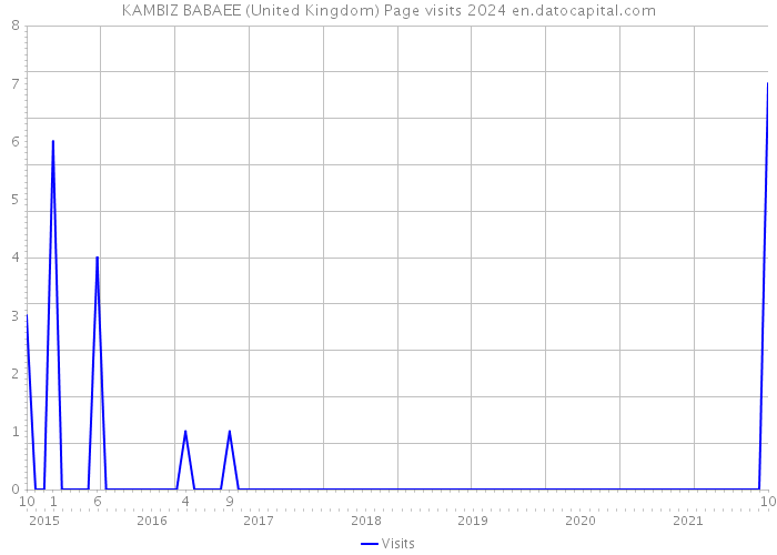 KAMBIZ BABAEE (United Kingdom) Page visits 2024 