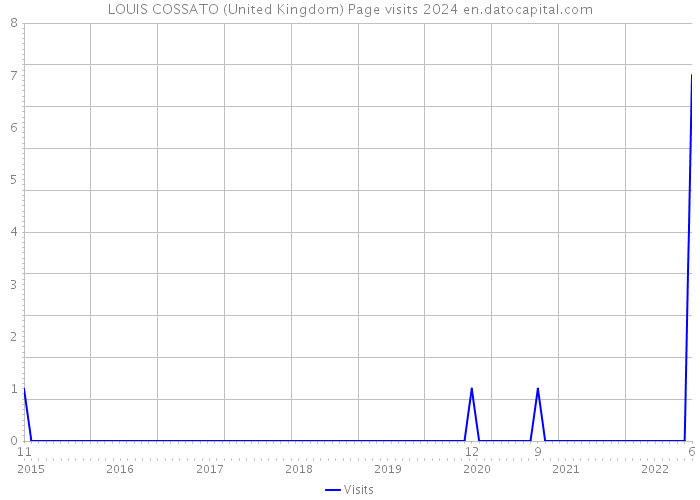 LOUIS COSSATO (United Kingdom) Page visits 2024 