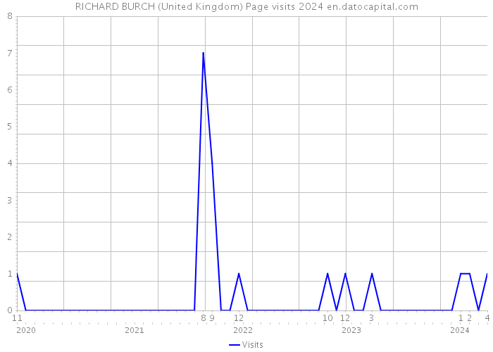 RICHARD BURCH (United Kingdom) Page visits 2024 