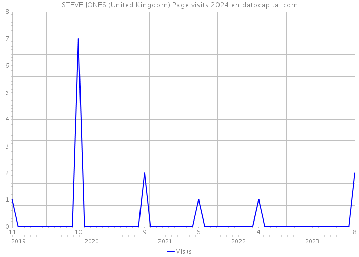 STEVE JONES (United Kingdom) Page visits 2024 