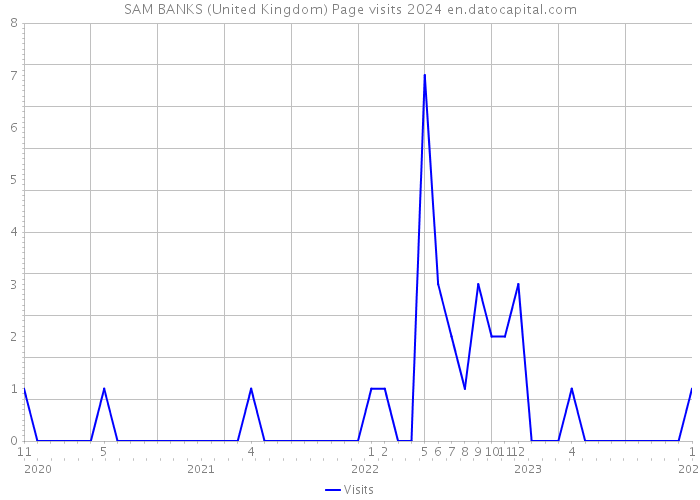 SAM BANKS (United Kingdom) Page visits 2024 