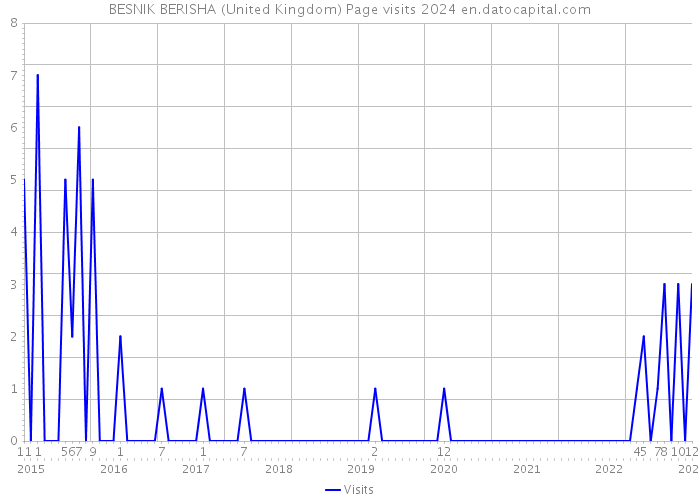 BESNIK BERISHA (United Kingdom) Page visits 2024 