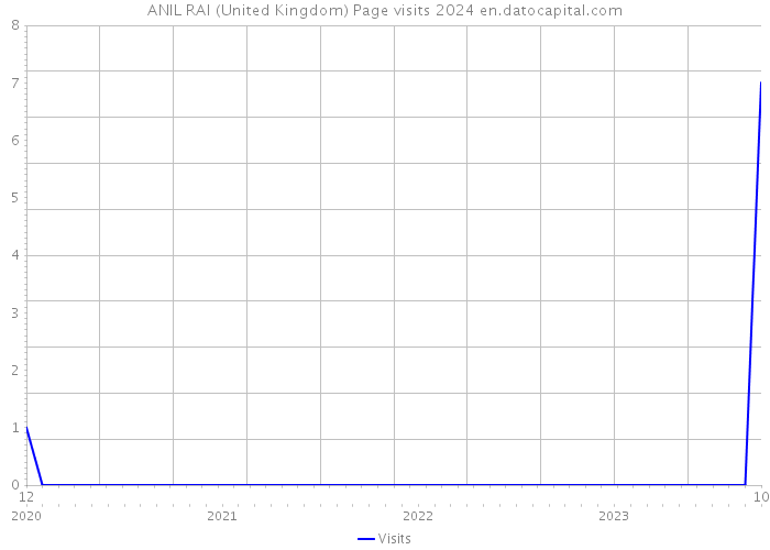 ANIL RAI (United Kingdom) Page visits 2024 