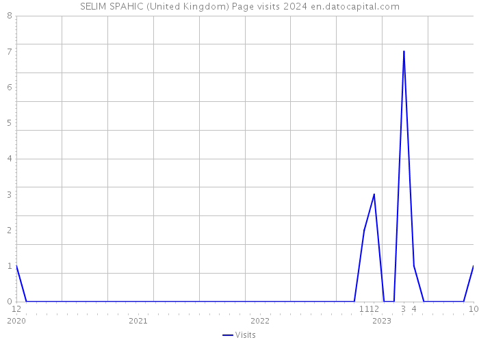 SELIM SPAHIC (United Kingdom) Page visits 2024 