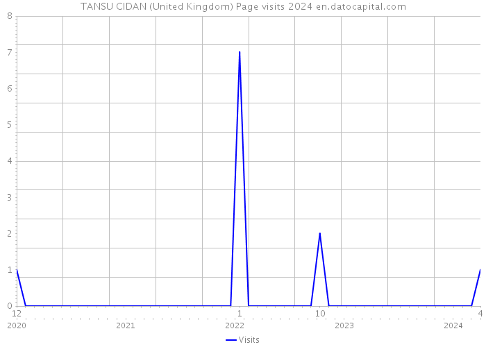 TANSU CIDAN (United Kingdom) Page visits 2024 