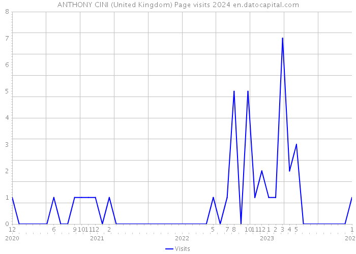 ANTHONY CINI (United Kingdom) Page visits 2024 