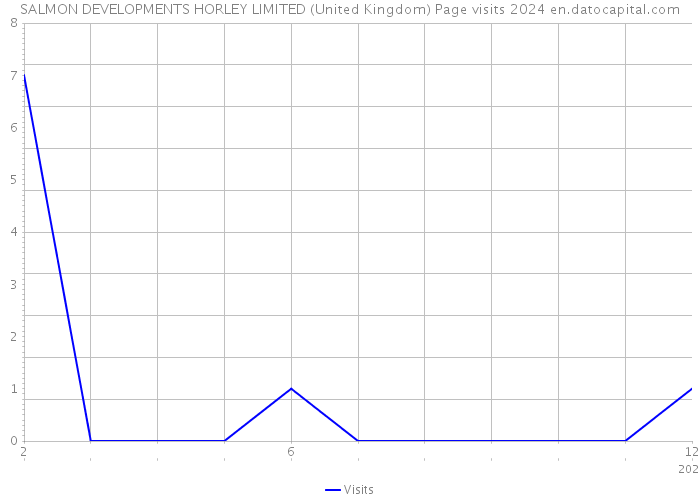 SALMON DEVELOPMENTS HORLEY LIMITED (United Kingdom) Page visits 2024 