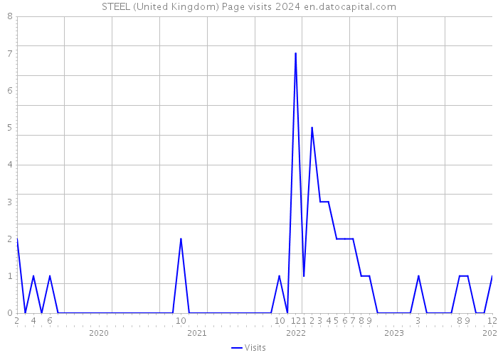 STEEL (United Kingdom) Page visits 2024 