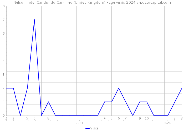 Nelson Fidel Candundo Carrinho (United Kingdom) Page visits 2024 
