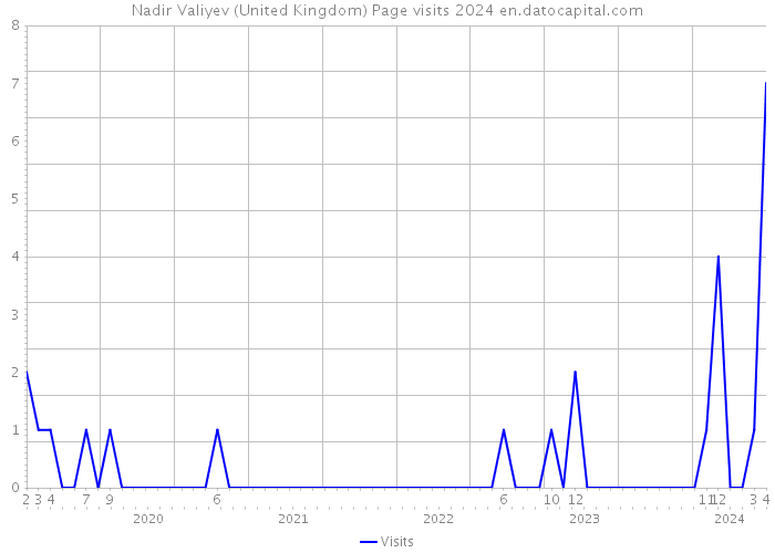 Nadir Valiyev (United Kingdom) Page visits 2024 