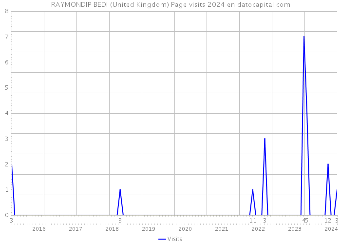 RAYMONDIP BEDI (United Kingdom) Page visits 2024 