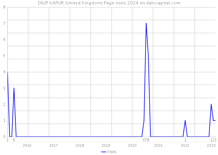 DILIP KAPUR (United Kingdom) Page visits 2024 