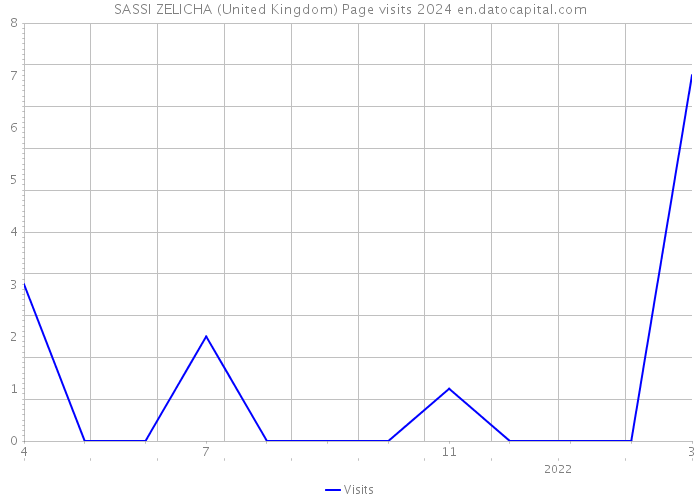 SASSI ZELICHA (United Kingdom) Page visits 2024 