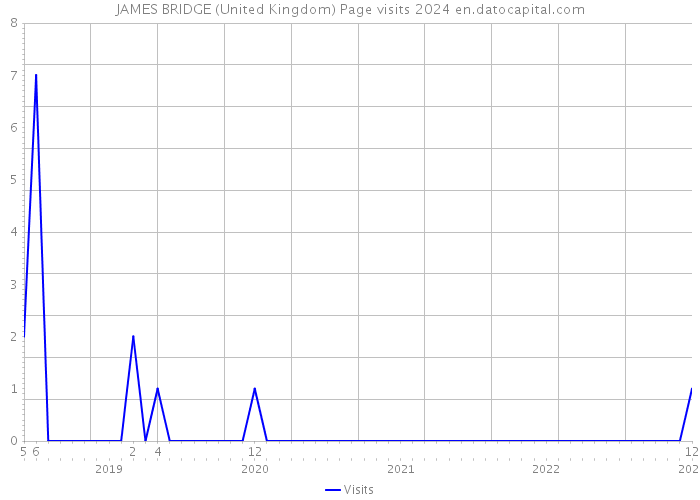 JAMES BRIDGE (United Kingdom) Page visits 2024 