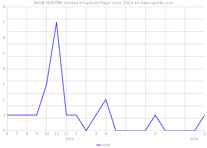 BANE HUNTER (United Kingdom) Page visits 2024 