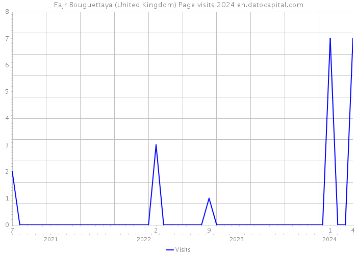 Fajr Bouguettaya (United Kingdom) Page visits 2024 