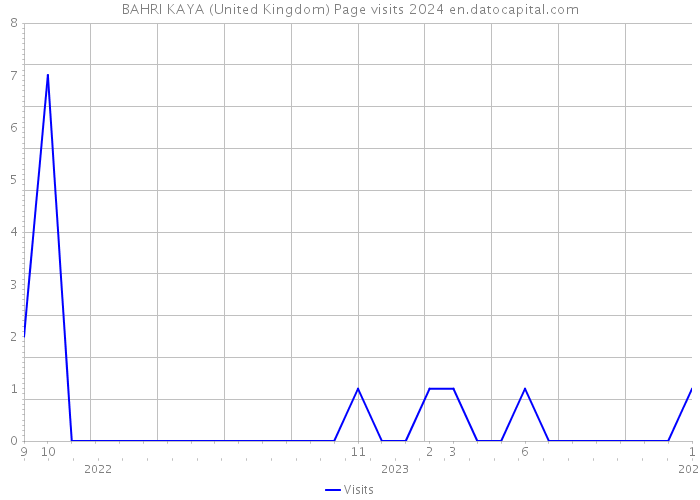 BAHRI KAYA (United Kingdom) Page visits 2024 
