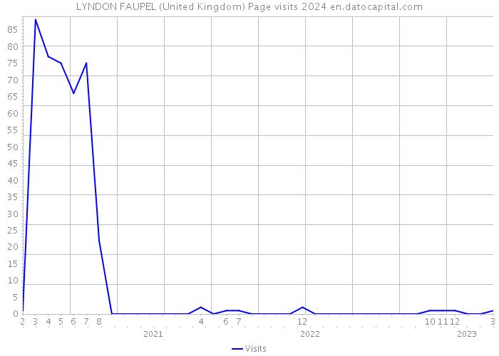 LYNDON FAUPEL (United Kingdom) Page visits 2024 