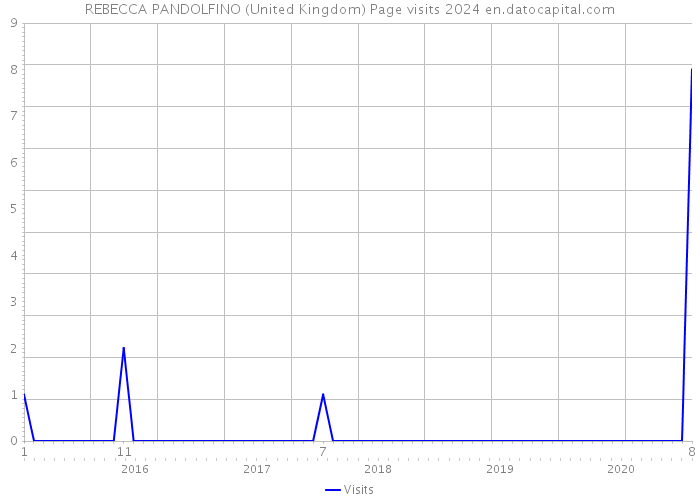 REBECCA PANDOLFINO (United Kingdom) Page visits 2024 