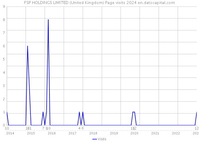FSP HOLDINGS LIMITED (United Kingdom) Page visits 2024 