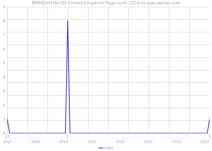 BRENDAN HAYES (United Kingdom) Page visits 2024 